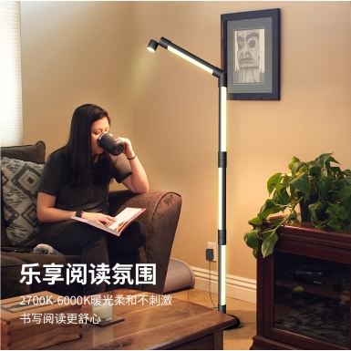 LED室内灯 - HCP204  阅读氛围落地灯